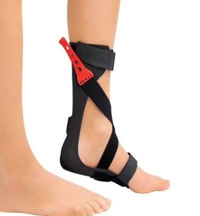 ΝΑΡΘΗΚΑΣ ΔΥΝΑΜΙΚΟΣ ΕΣΩ ΥΠΟΔΗΜΑΤΟΣ